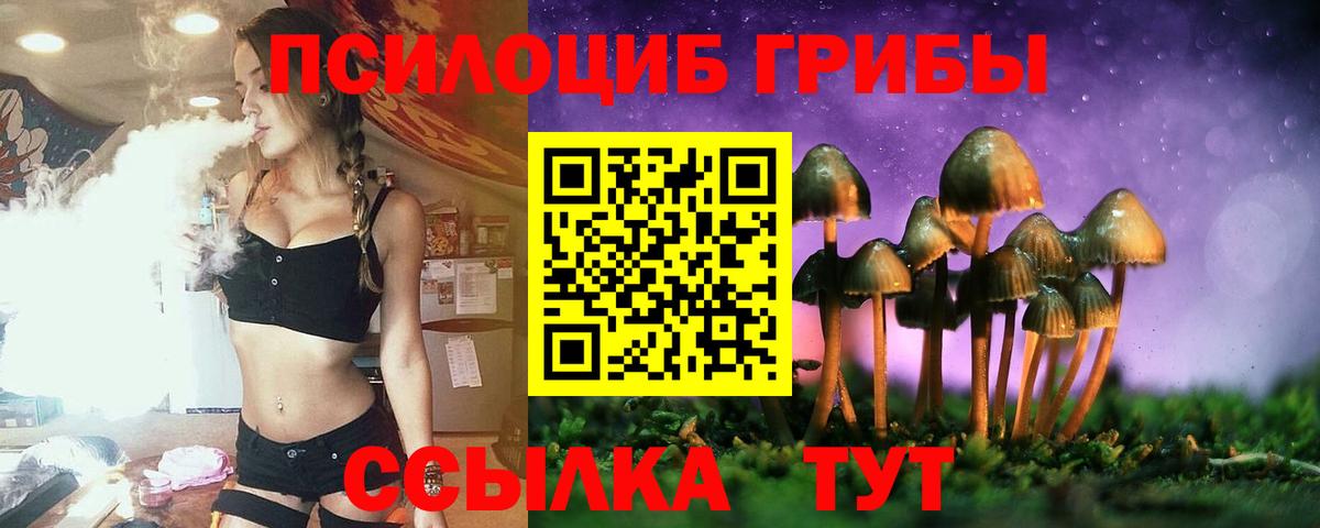 Галлюциногенные грибы Psilocybe Красноуфимск