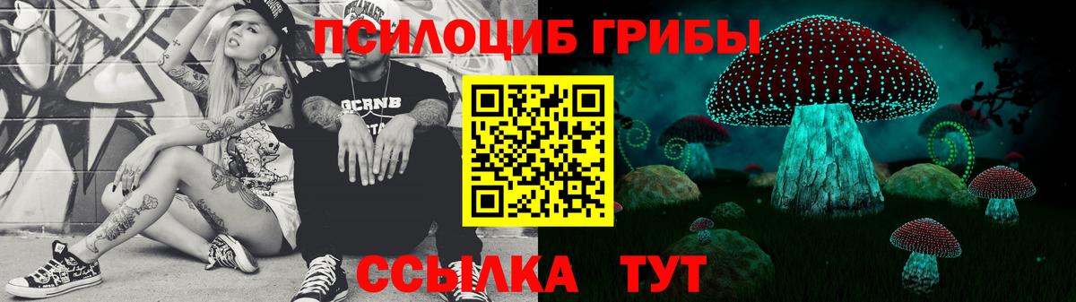 Красноуфимск  Галлюциногенные грибы Psilocybe  Вход с VPN 
